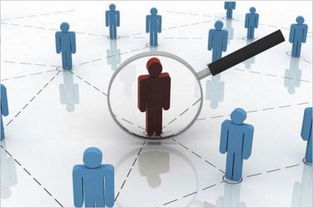 企业管理中的组织运作机制